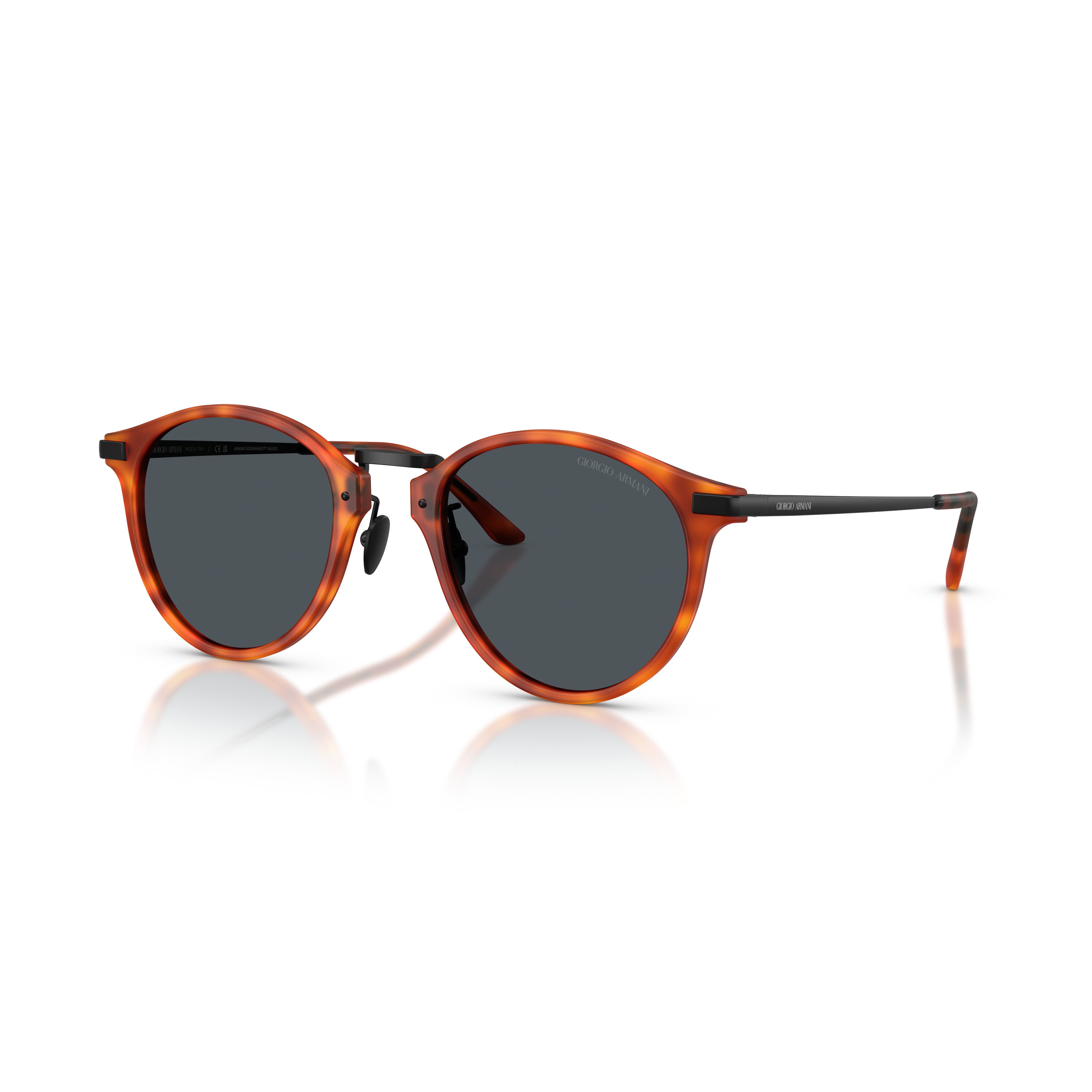 0Ar8250 Tortoiseshell Acetate Sunglasses