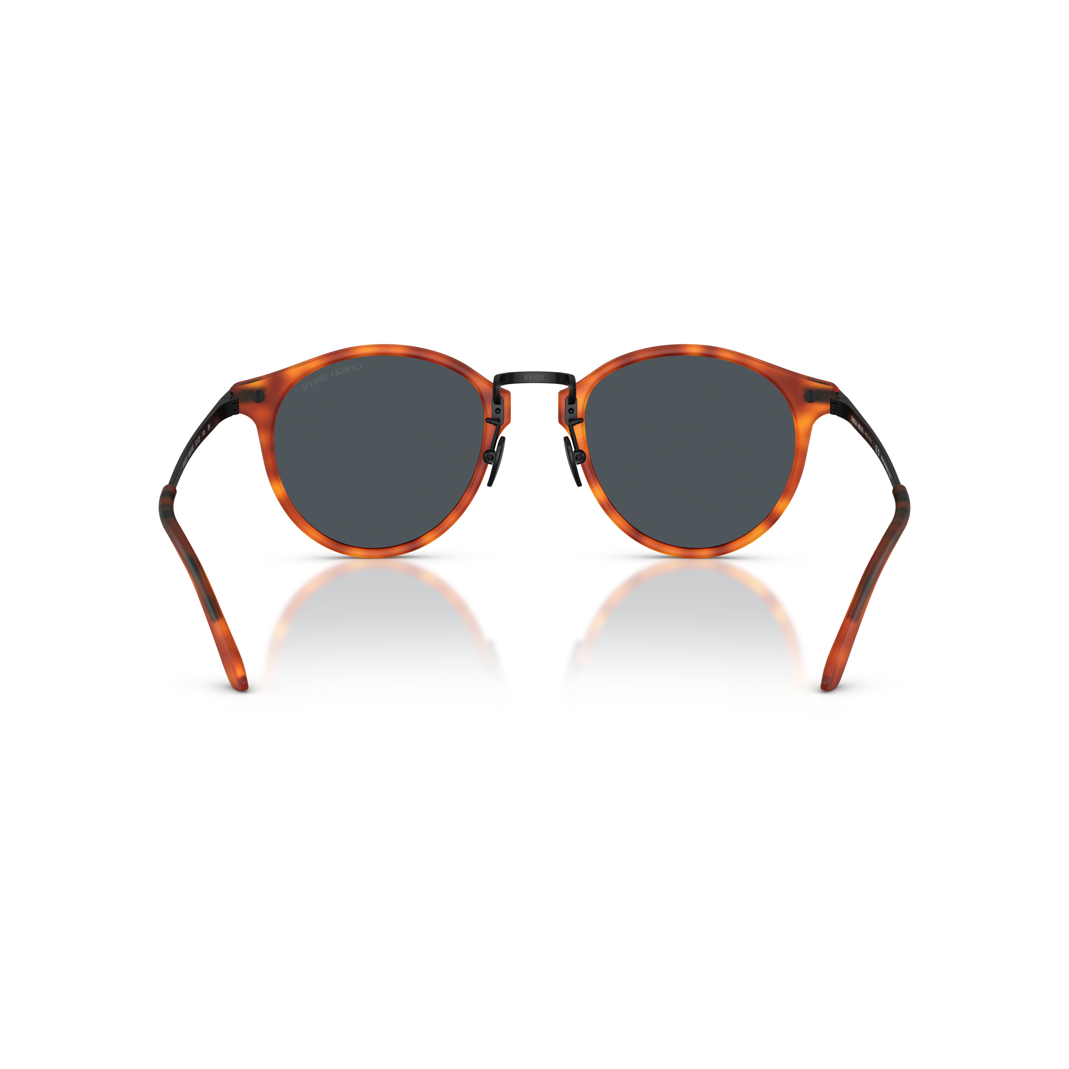 0Ar8250 Tortoiseshell Acetate Sunglasses