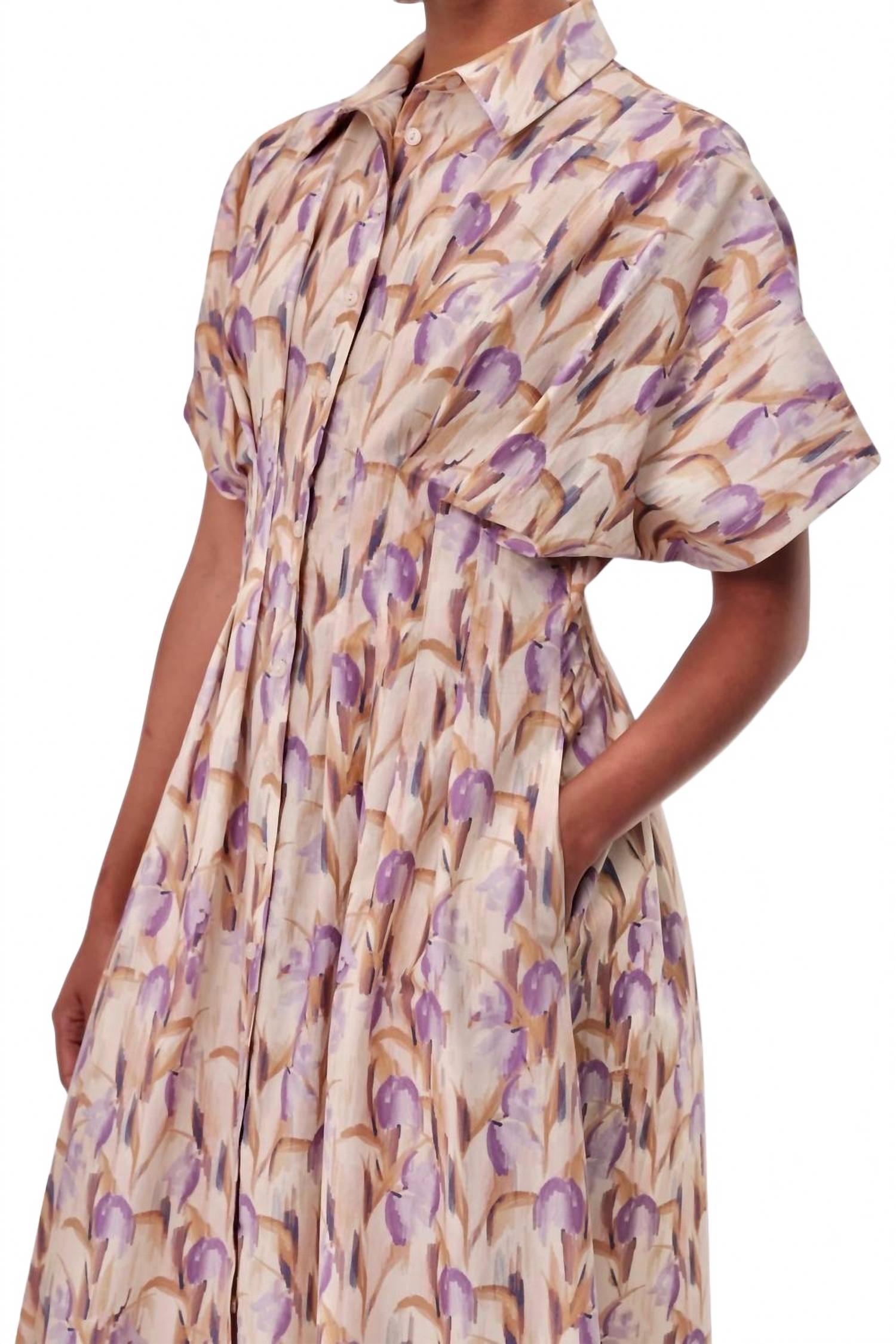 Kenya Printed Maxi Dress In Multicolor