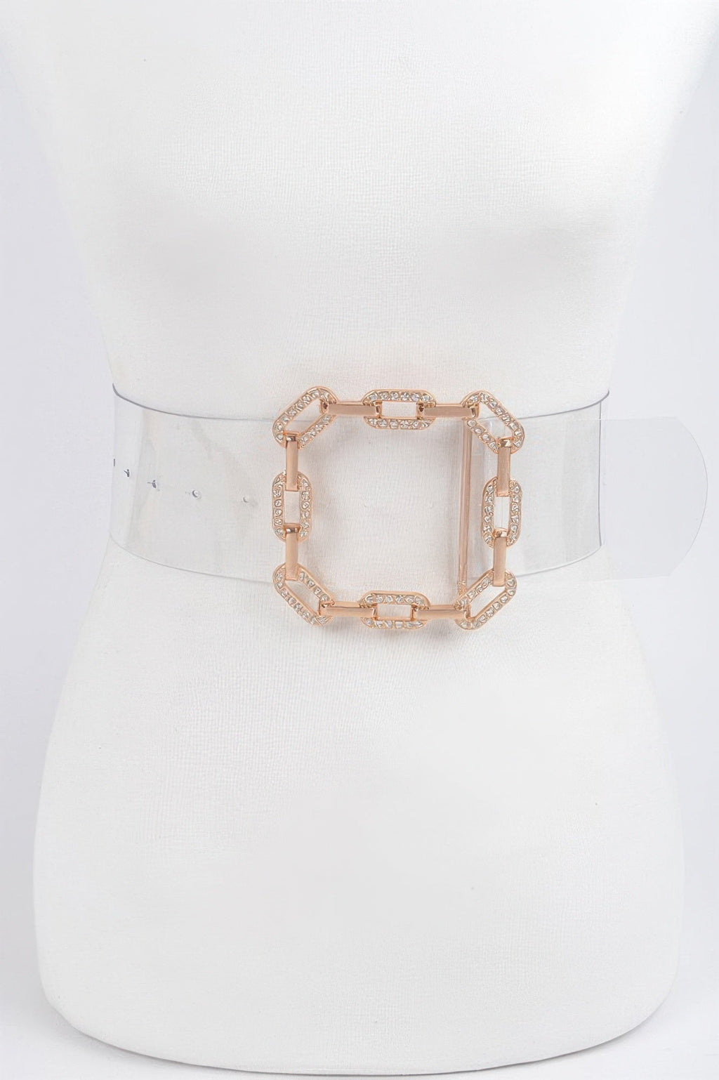 Clear Waist Belt with Metal Hardware Modern Style