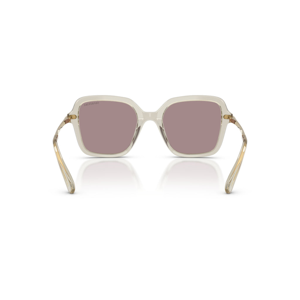 0Sk6040 Square Acetate Sunglasses with Translucent Beige Frame