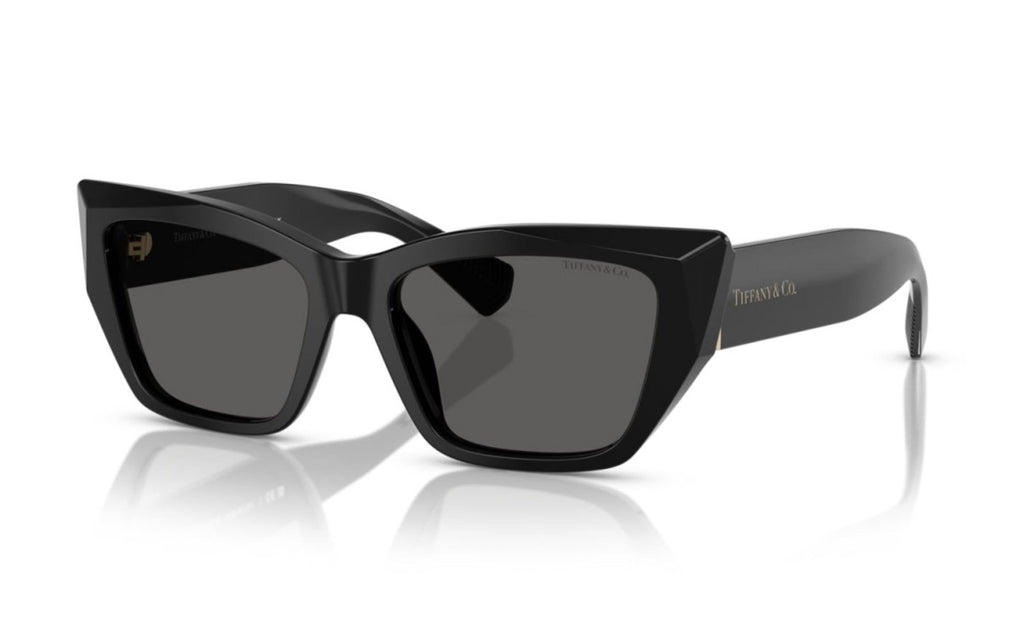 Women's Cat-Eye Sunglasses In Dark Grey