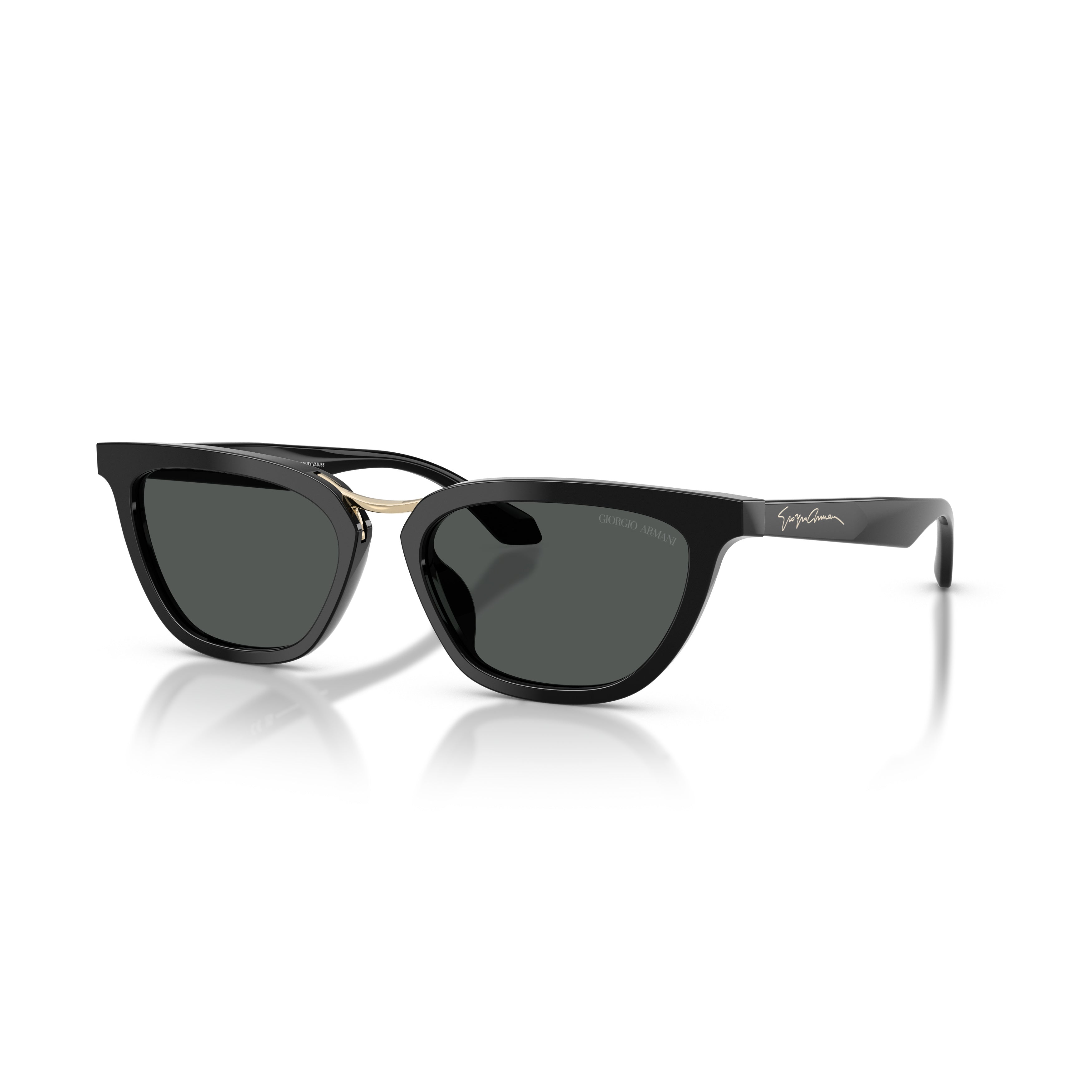 0Ar8253U Angular Acetate Sunglasses