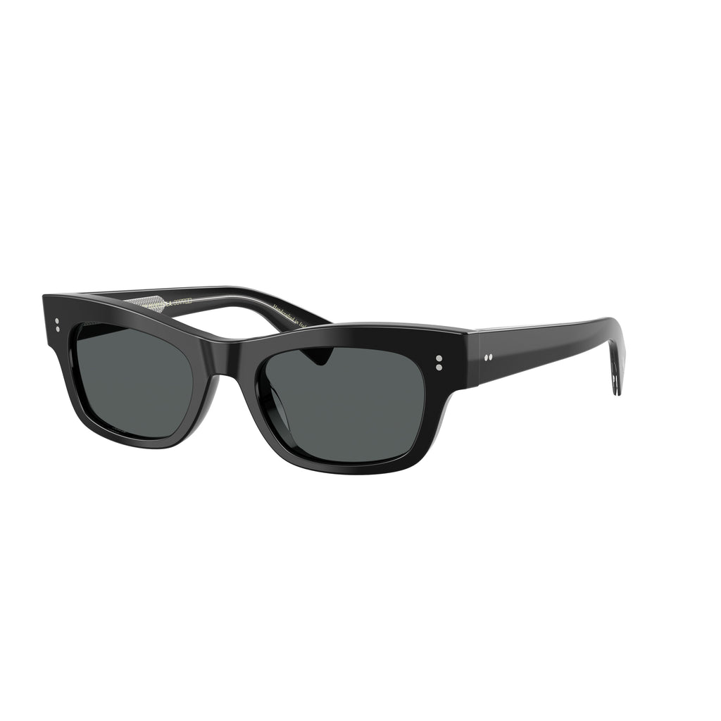 Bold Rectangular Acetate Sunglasses With Metallic Accents