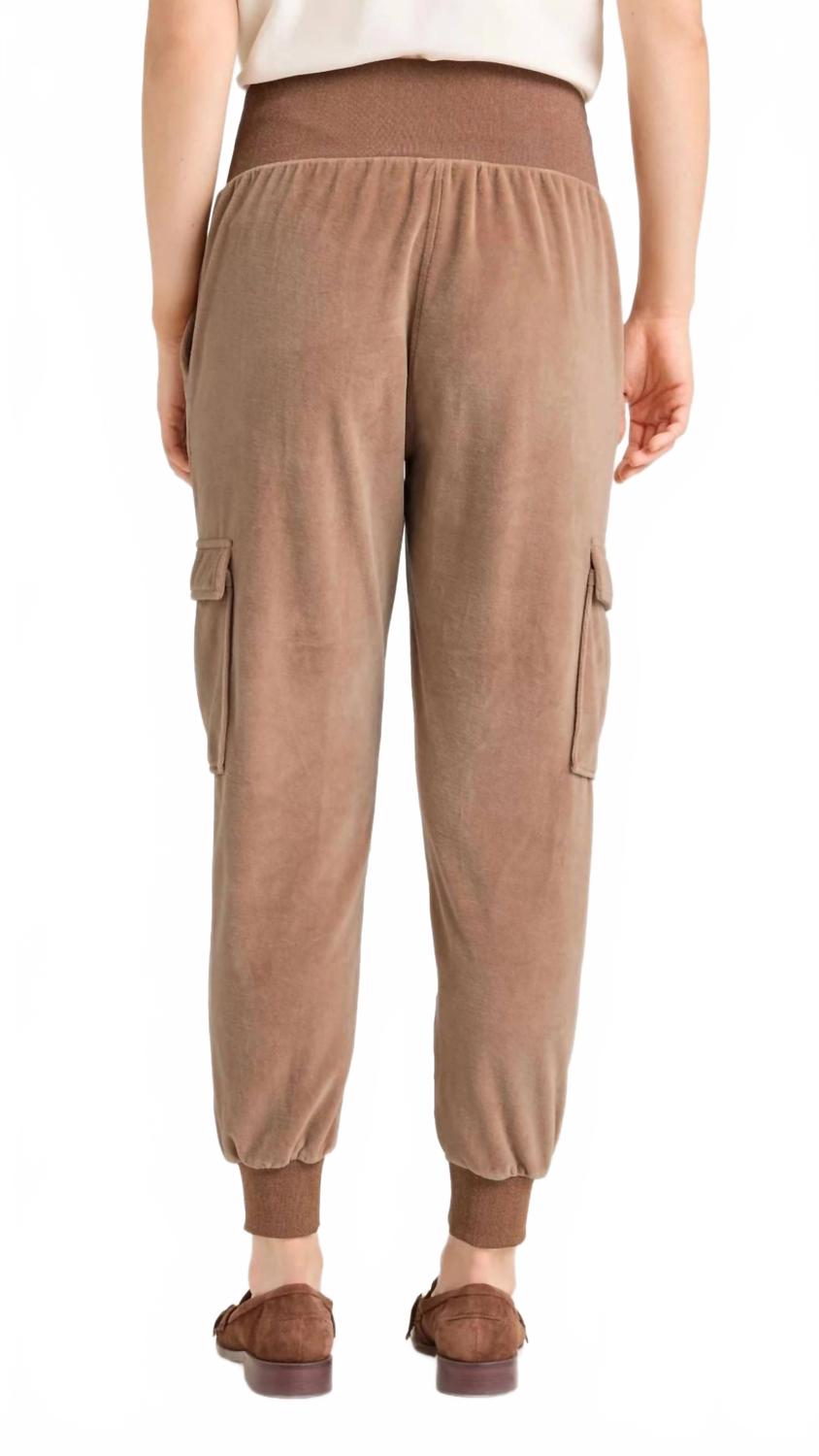 Velour Giles Pant In Mocha