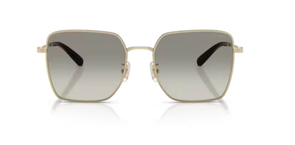 Women's Hc 7184D Sunglasses In Gold/black/grey