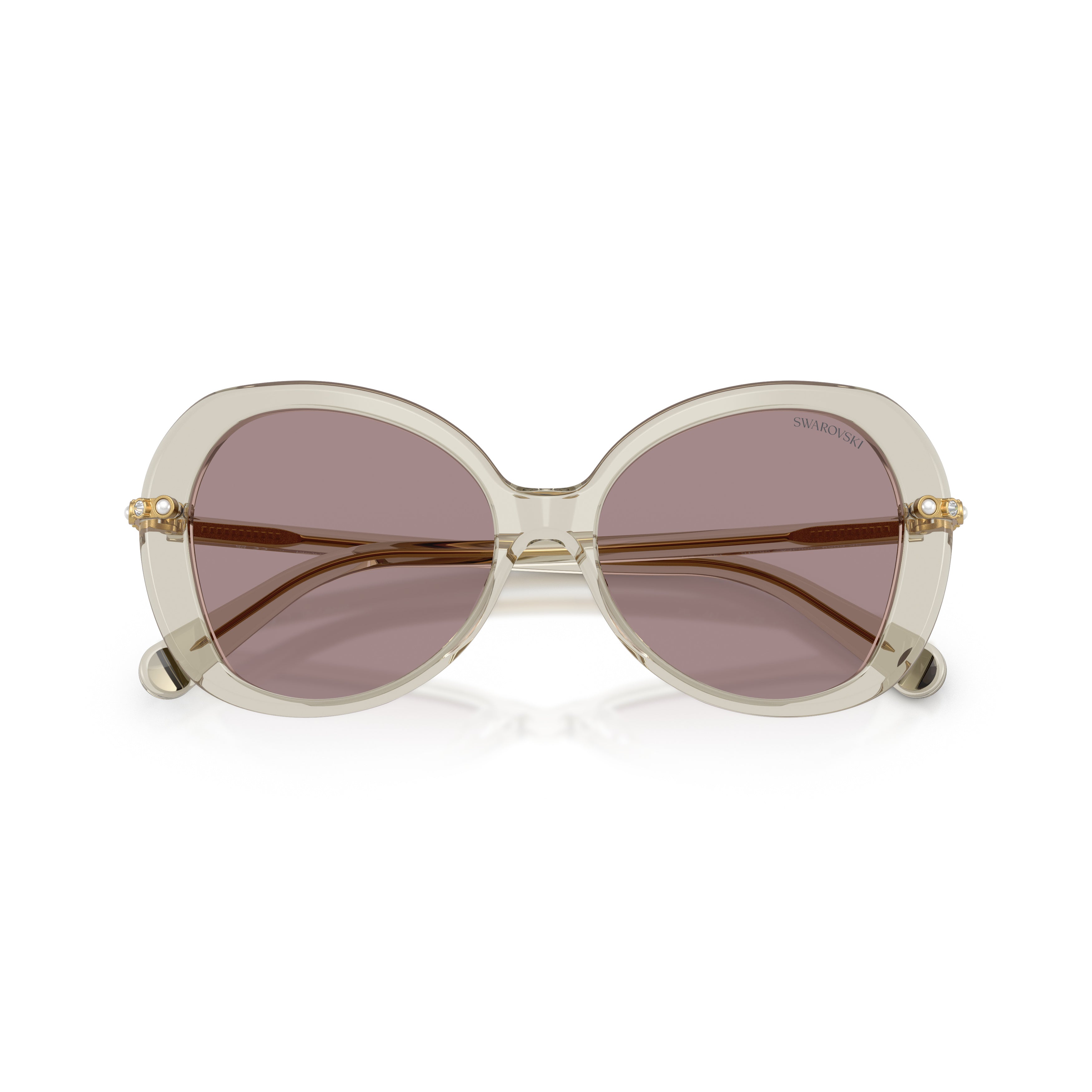 0Sk6059 Large Rounded Acetate Sunglasses with Gold-Toned Temples