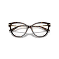 0Jc3001B Cat-Eye Acetate Eyeglasses with Metallic Gold Temples