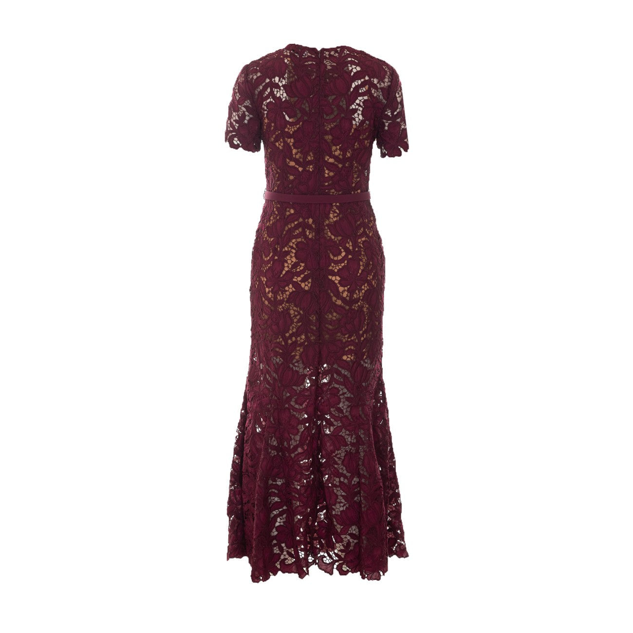 Self Portrait Women Lace Midi Dress