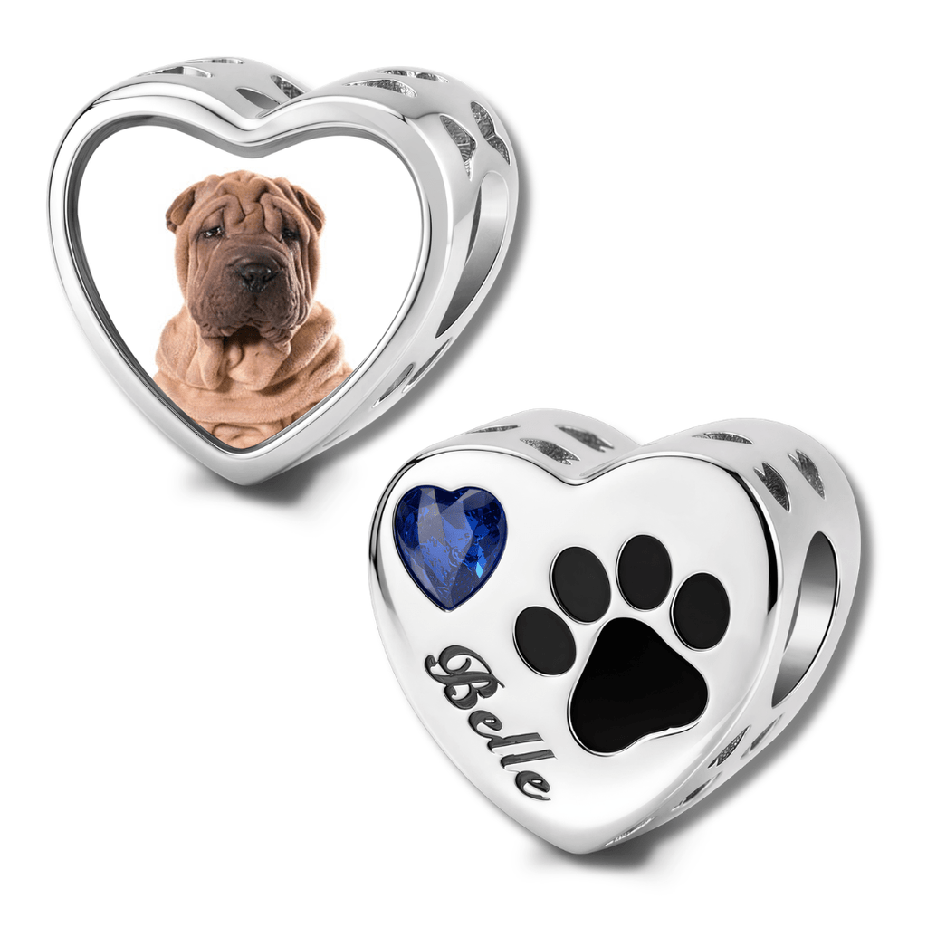 Personalized Pet Photo & Engraved Paw Print Birthstone Heart Charm