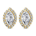 1/2Ct Marquise Halo Screw Back Diamond Studs White or Yellow Gold Earrings