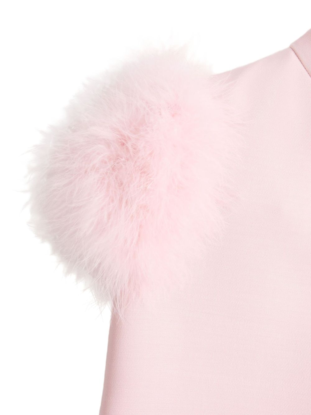 Valentino Women Feathered Wool And Silk Dress